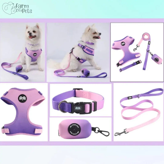 Small dog wearing stylish harness set Farm City Pets