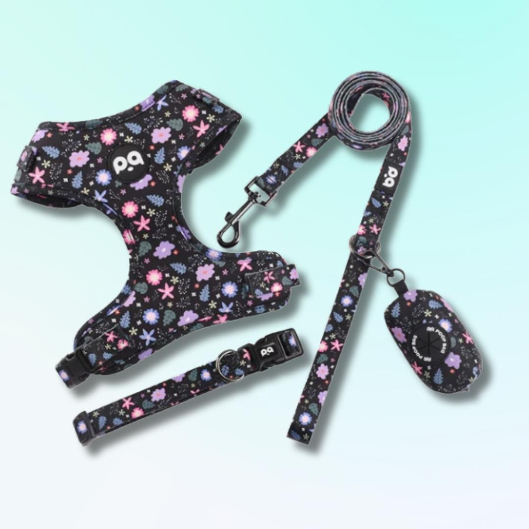 Breathable dog harness with matching leash – front view