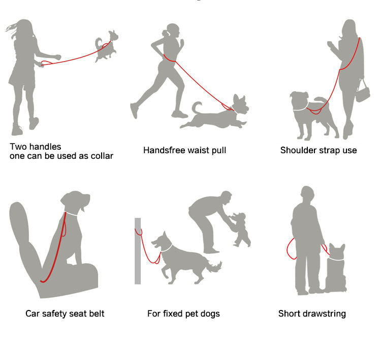 6-in-1 Multi-Use Hands-Free Dog Leash showing hands-free, shoulder, tether, car seatbelt and walking configurations