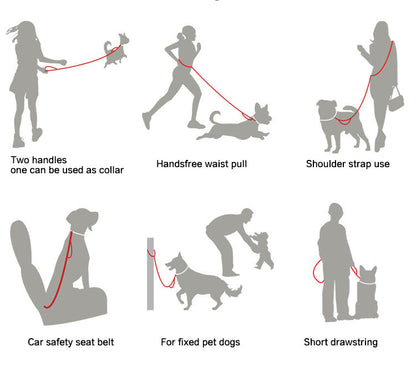 6-in-1 Multi-Use Hands-Free Dog Leash showing hands-free, shoulder, tether, car seatbelt and walking configurations