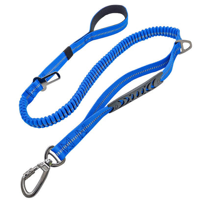 Ride & Stride 2-in1 Reflective Dog Leash Farm City Pets