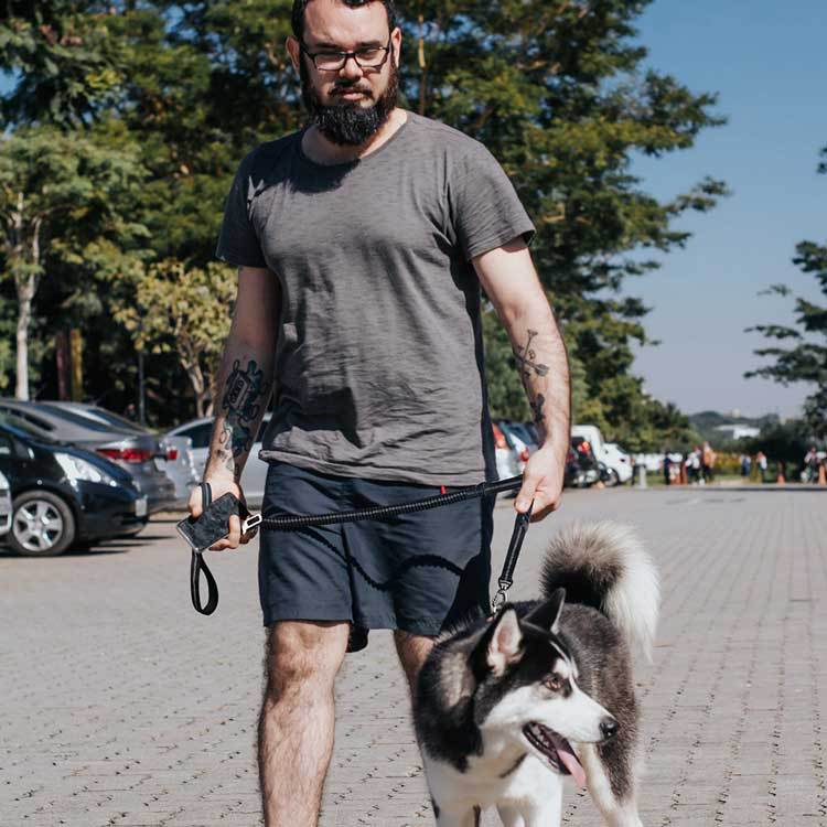 Ride & Stride 2-in1 Reflective Dog Leash Farm City Pets