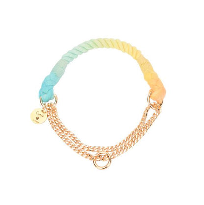 Premium Cotton Rope Dog Collar