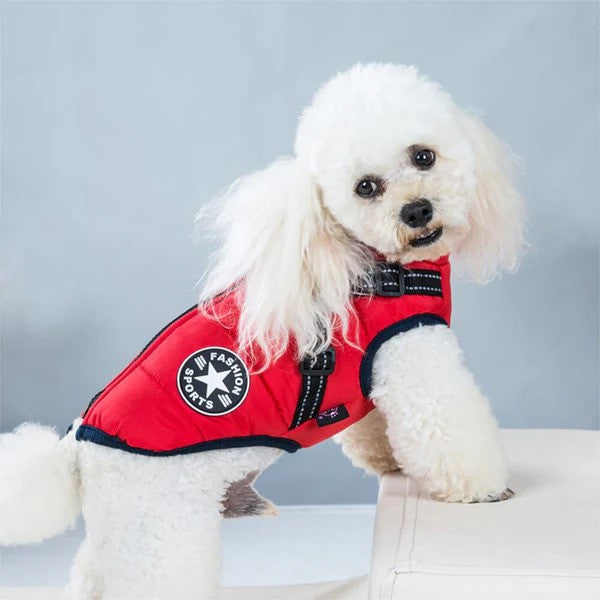 Small dog wearing red jacket sitting on outdoor step – waterproof dog coat with D-ring