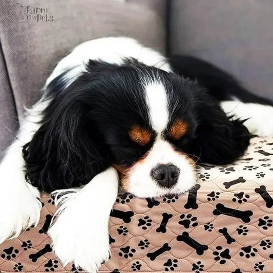 Anti-Leak Puppy Pee Pad (Washable) Farm City Pets