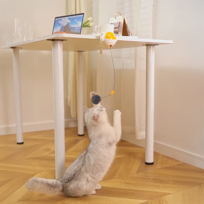 grey cat playing with automatic jumping teaser ball interactive toy for indoor cats