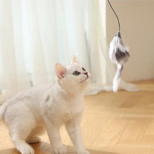 Automatic cat teaser ball with furry mouse wand in grey — smart rolling cat toy Australia