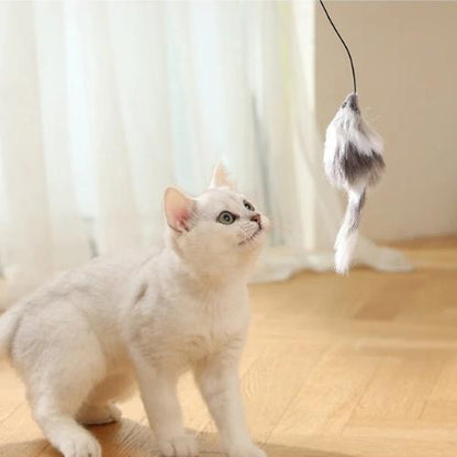 Automatic cat teaser ball with furry mouse wand in grey — smart rolling cat toy Australia