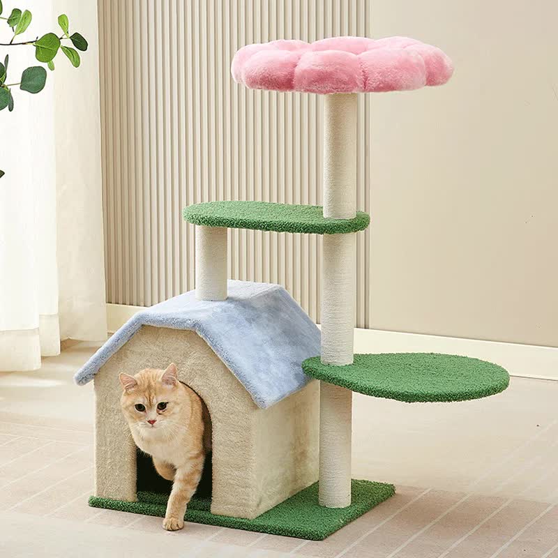Indoor cat coming out of cosy hideaway on Bloom Haven floral cat tree Australia