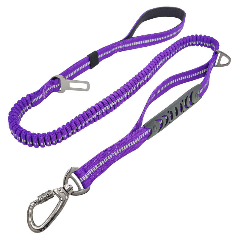Ride & Stride 2-in1 Reflective Dog Leash Farm City Pets