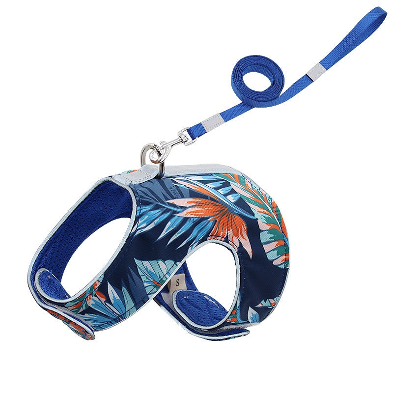 Cat harness and leash Blue Palms white background