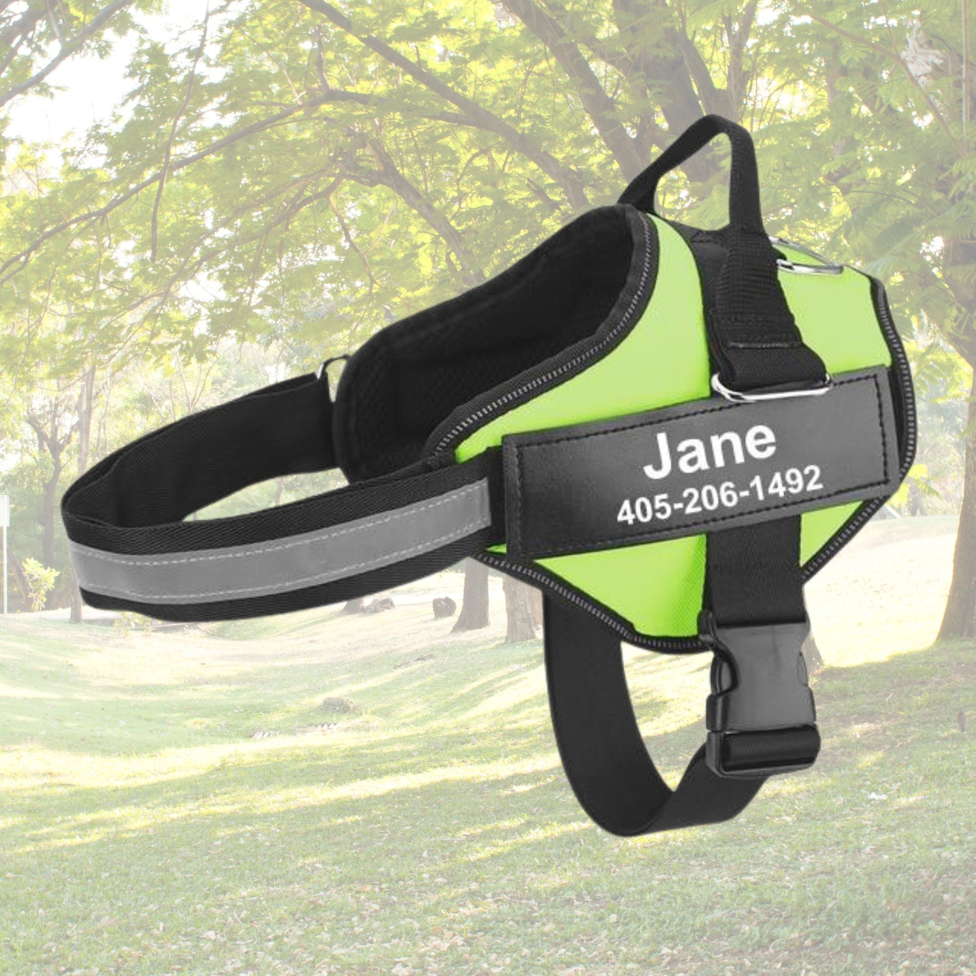 Custom No Pull Reflective Dog Harness - Add Your Pet's Name Farm City Pets