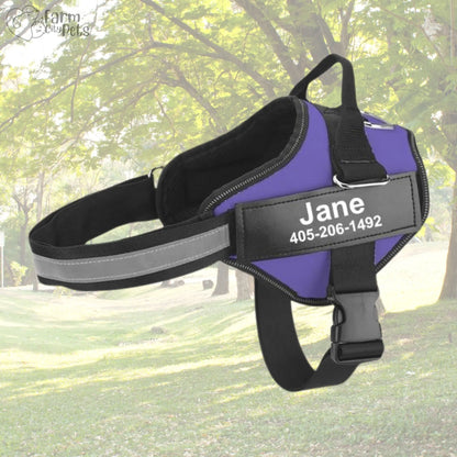 Custom No Pull Reflective Dog Harness - Add Your Pet's Name Farm City Pets