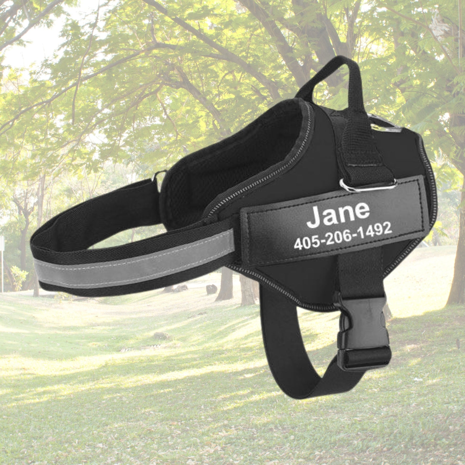 Custom No Pull Reflective Dog Harness - Add Your Pet's Name Farm City Pets