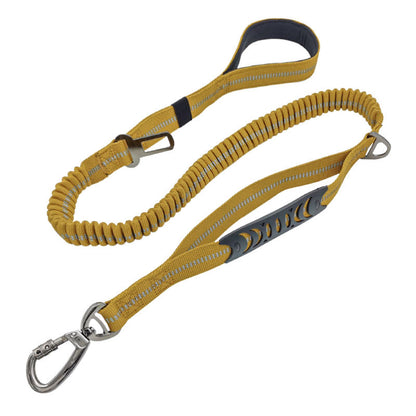 Ride & Stride 2-in1 Reflective Dog Leash Farm City Pets