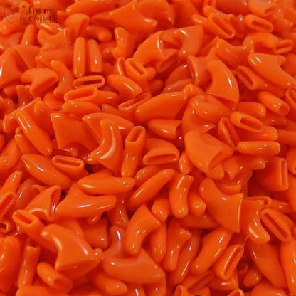 Exclusive Colours Nail Caps 20 Pcs + Applicator + Glue Farm City Pets