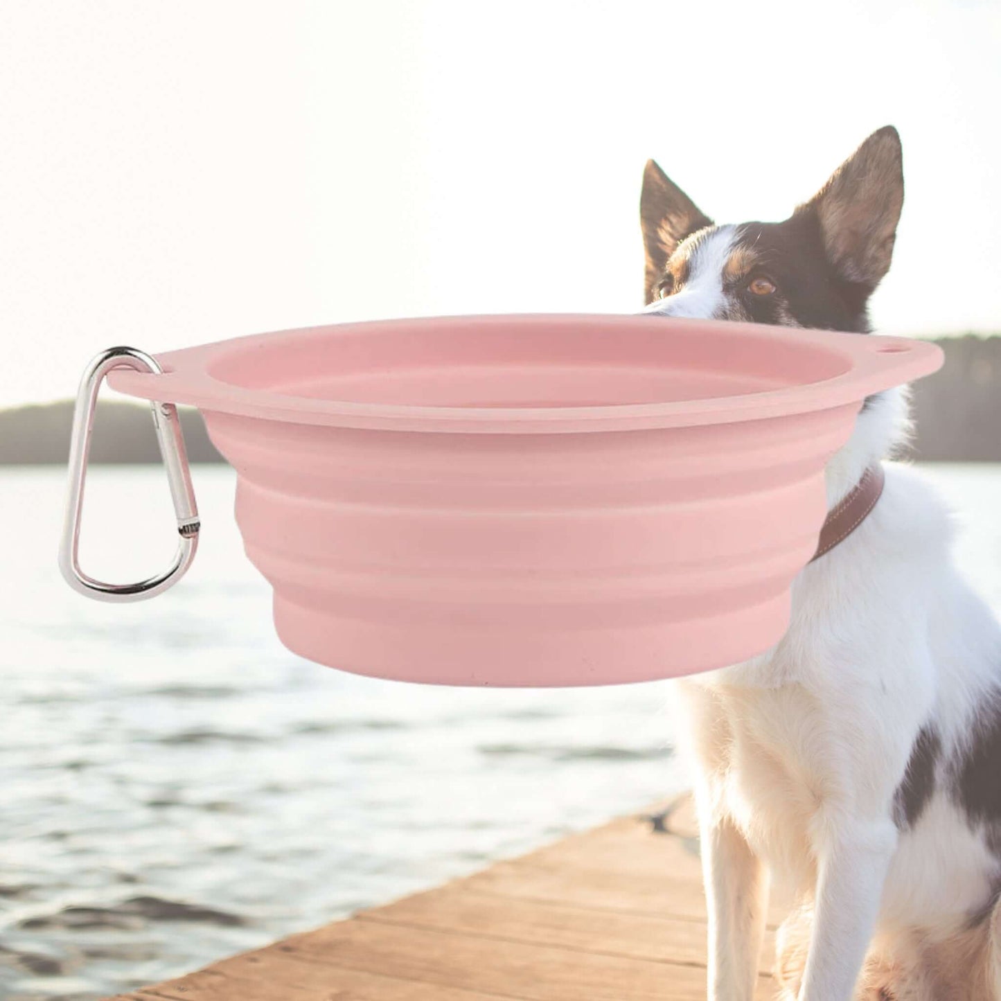 Farm City Pets Collapsible Silicone Travel Bowl - Pink Farm City Pets