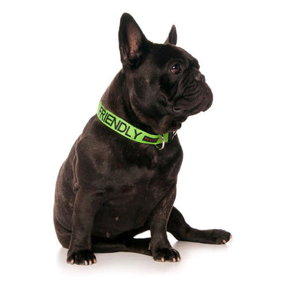 Friendly Clip Collar L/XL Farm City Pets