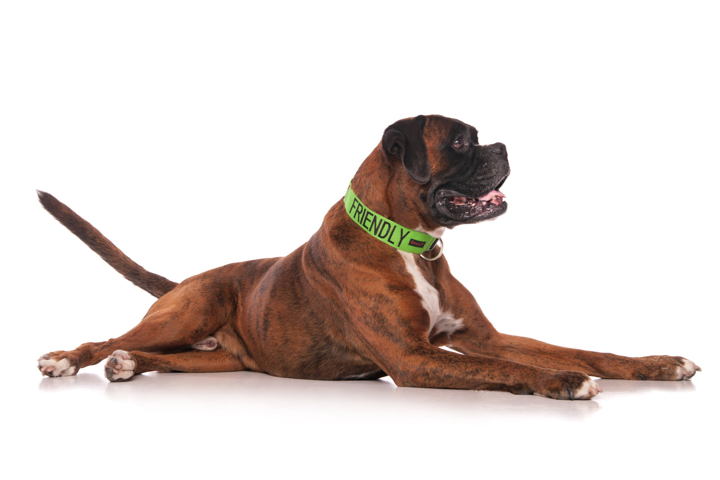 Friendly Clip Collar L/XL Farm City Pets