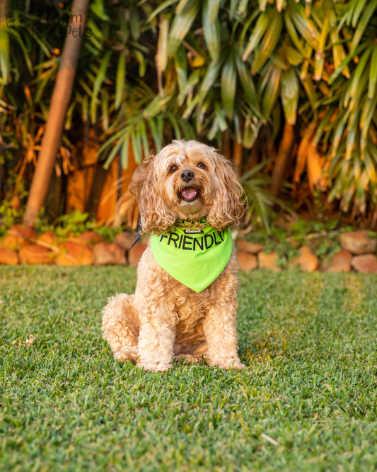 Friendly Dog Bandana Farm City Pets