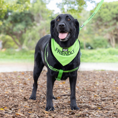 Friendly Dog Bandana Farm City Pets