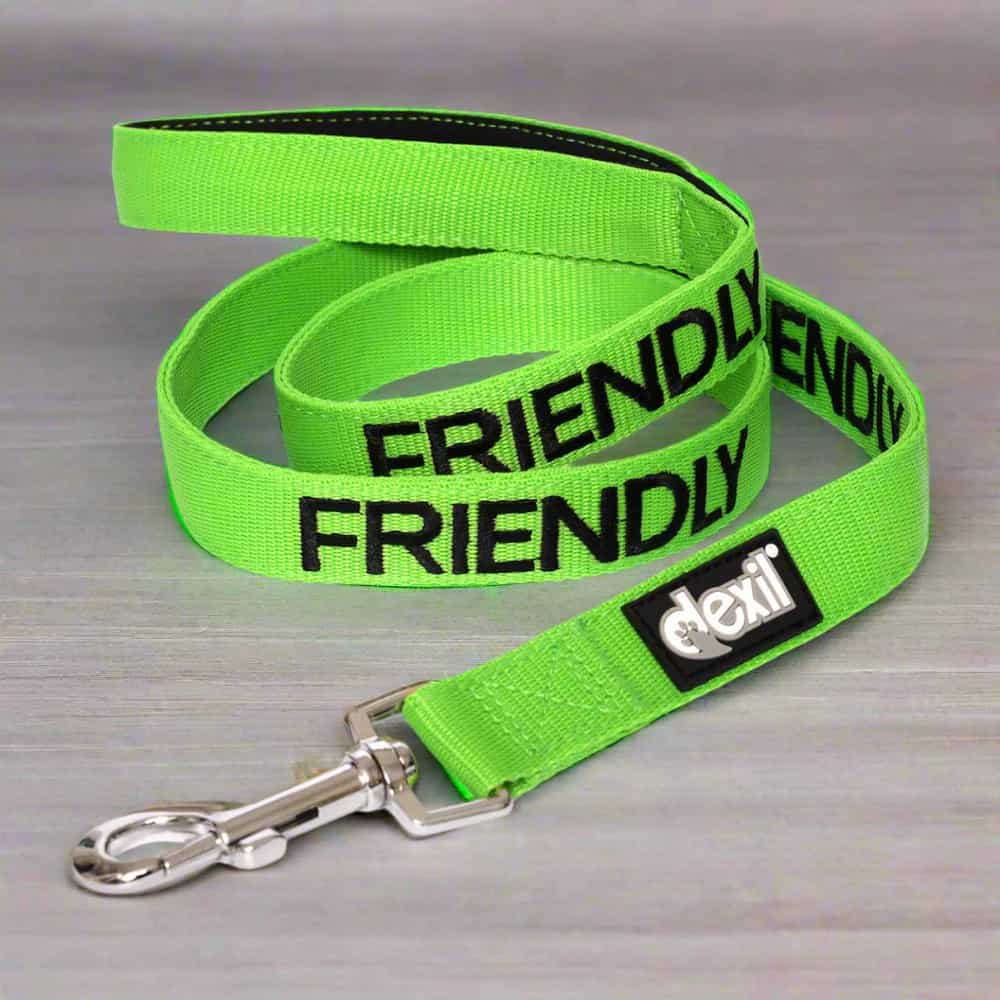 Friendly Dog Leash for Big Pups