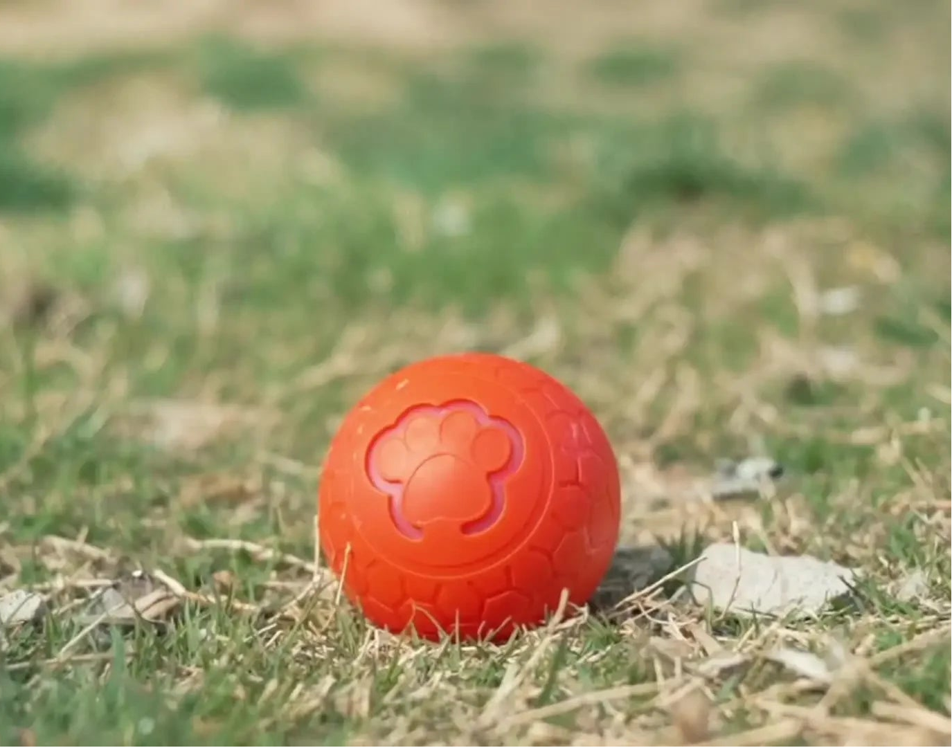 GlowMotion Smart Pet Ball with a paw print design on grass