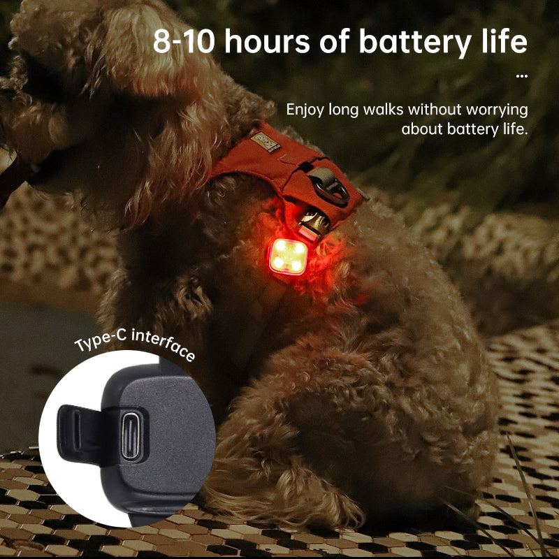 Dog wearing a glowing red LED light attached to a harness with text about battery life and Type-C interface.