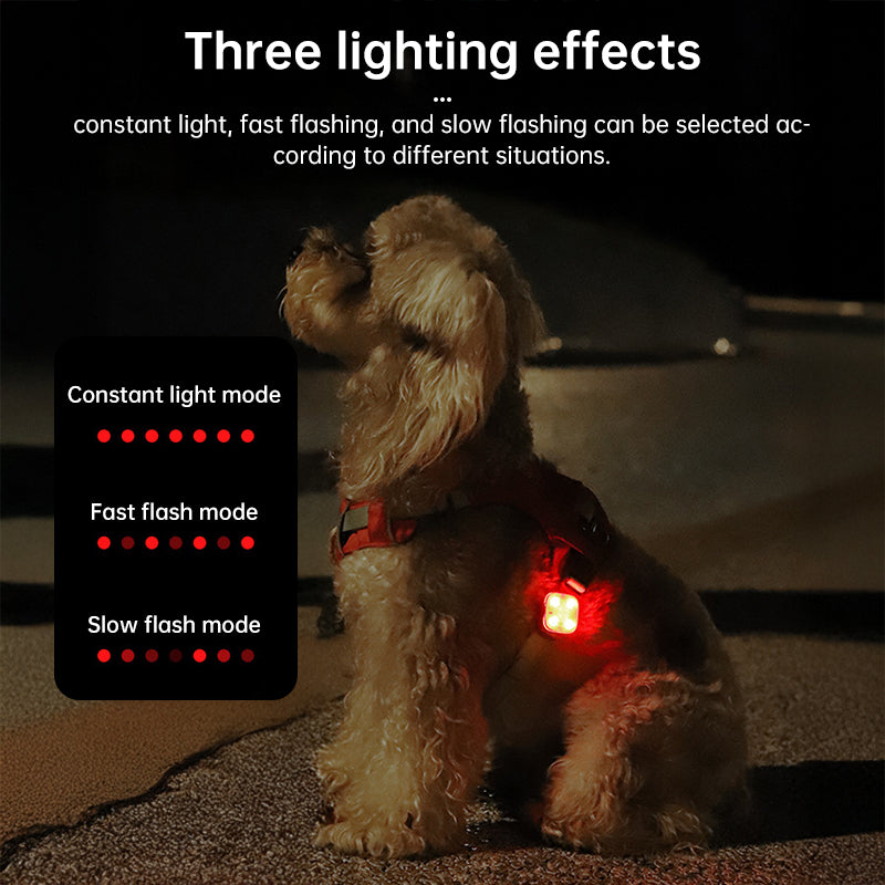 Dog wearing a red LED pet light attached to a harness with three lighting effect modes displayed in a graphic