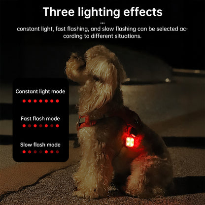 Dog wearing a red LED pet light attached to a harness with three lighting effect modes displayed in a graphic