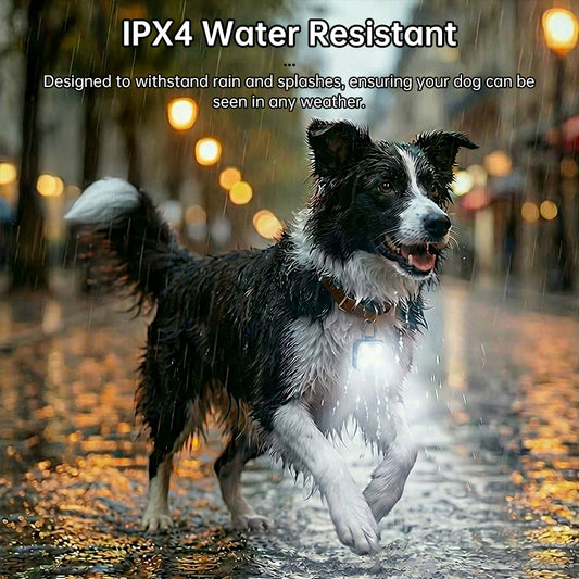 Dog running in the rain with a LED light on, labelled 'IPX4 Water Resistant'.