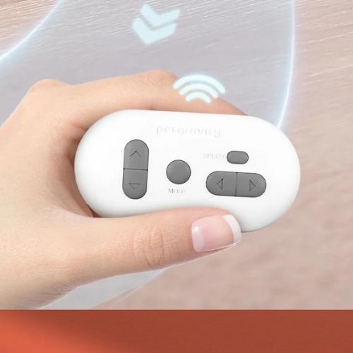 Gravity Motion Cat Car remote control closeup with buttons