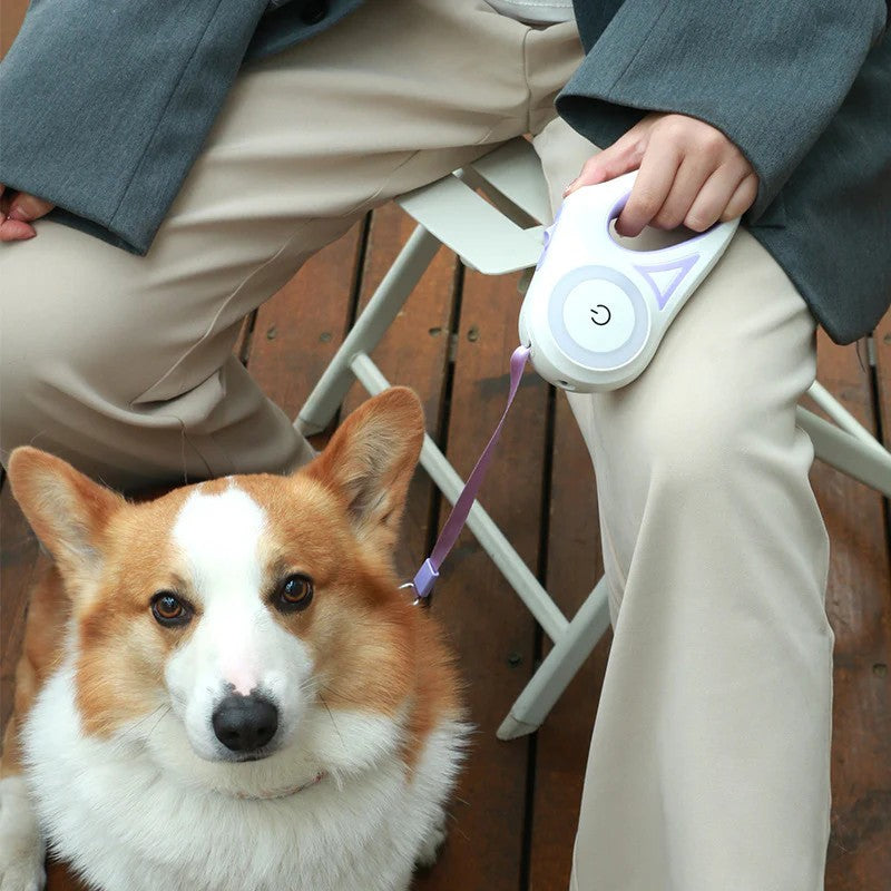 LED Retractable Dog Leash with Light