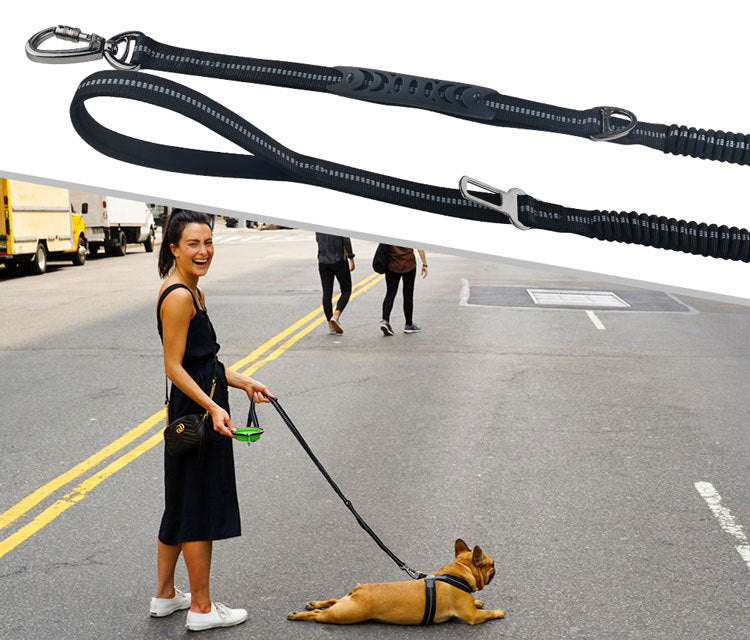 Ride & Stride 2-in1 Reflective Dog Leash Farm City Pets