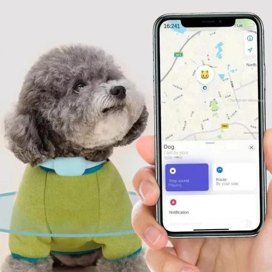 Dog wearing a green sweater next to a phone displaying a pet tracking app.