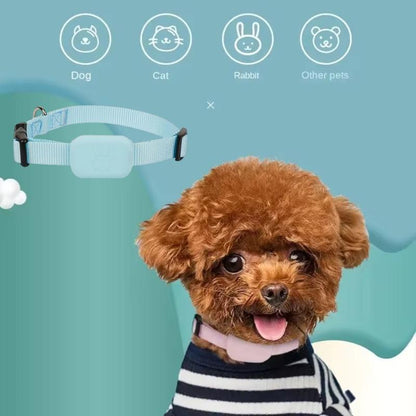 Cute puppy wearing a pink PetPath Positioning Collar with display showing which animals can wear it