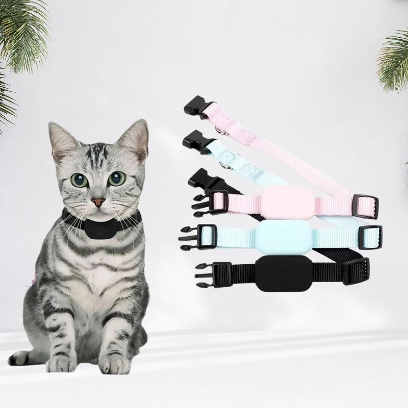 Cat wearing a black collar with colorful leashes displayed on a white background