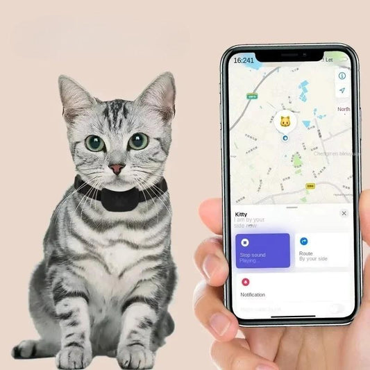 Cat wearing a collar with a smartphone displaying a pet tracking app.