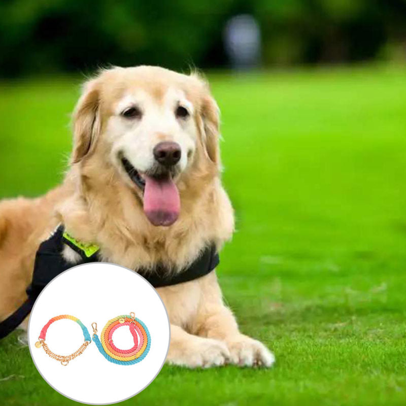 Golden Retriever wearing the Premium Cotton Rope Dog Collar while relaxing outdoors