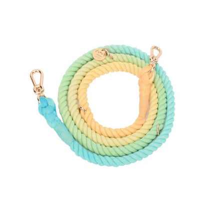 Premium Cotton Rope Dog Leash coiled to show woven cotton rope construction