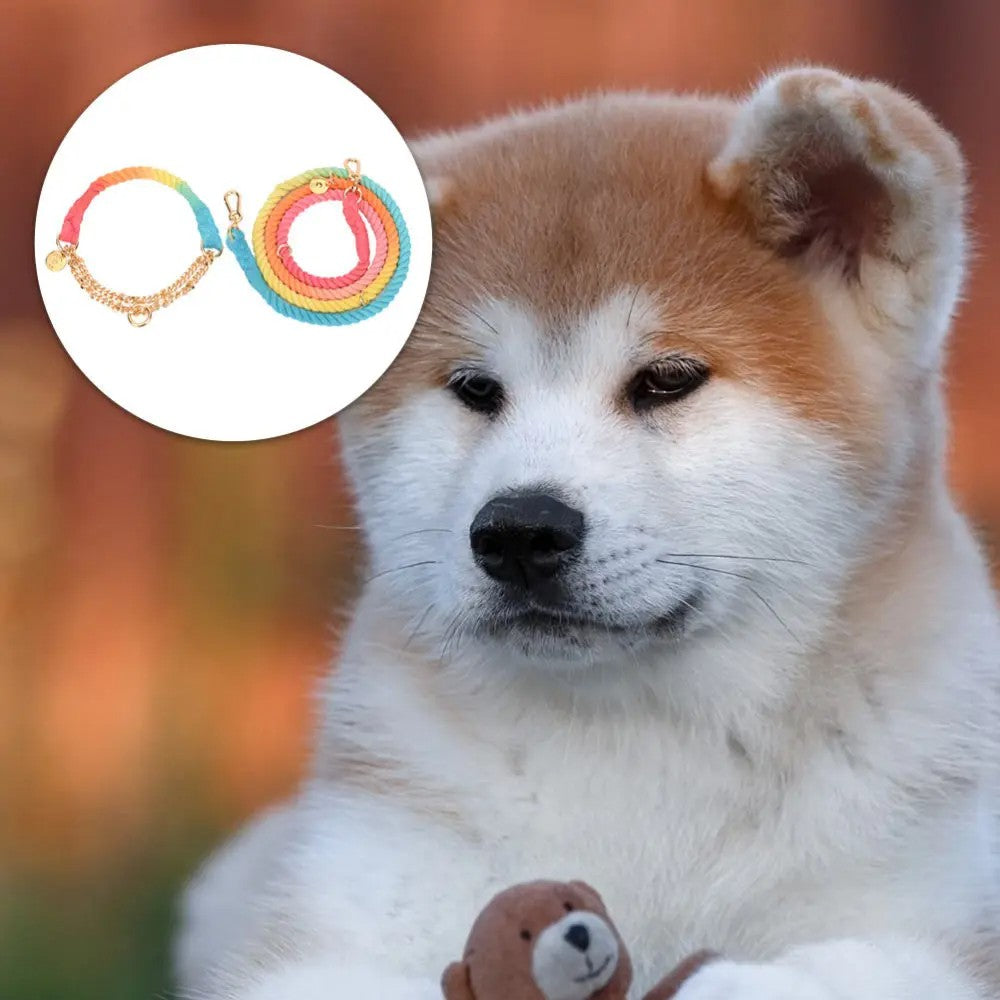 Shiba Inu wearing the Premium Cotton Rope Dog Collar outdoors