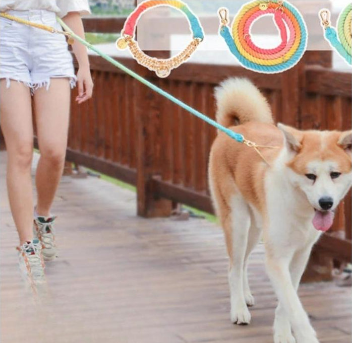 Woman walking her dog with the Premium Cotton Rope Dog Leash in a park