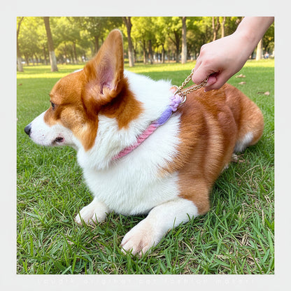 Premium Rope Dog Collar & Leash Set – Gold Hardware