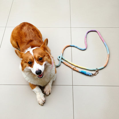 Premium Rope Dog Collar & Leash Set – Gold Hardware