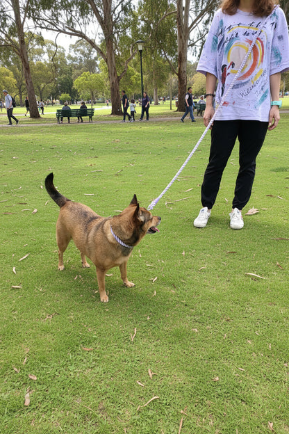 Premium Rope Dog Collar & Leash Set – Gold Hardware