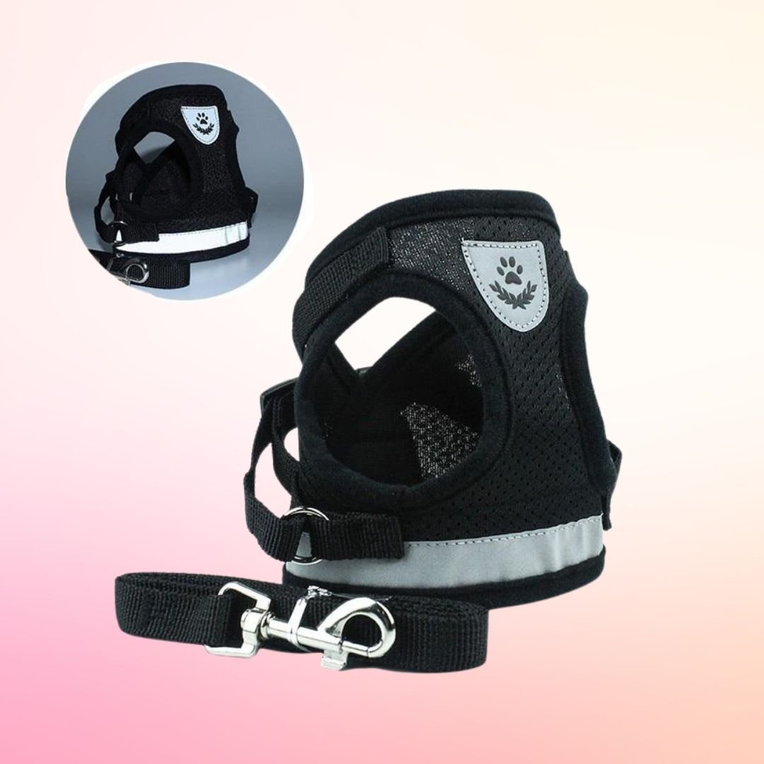 Reflective Cat Safety Harness + Leash Set Farm City Pets