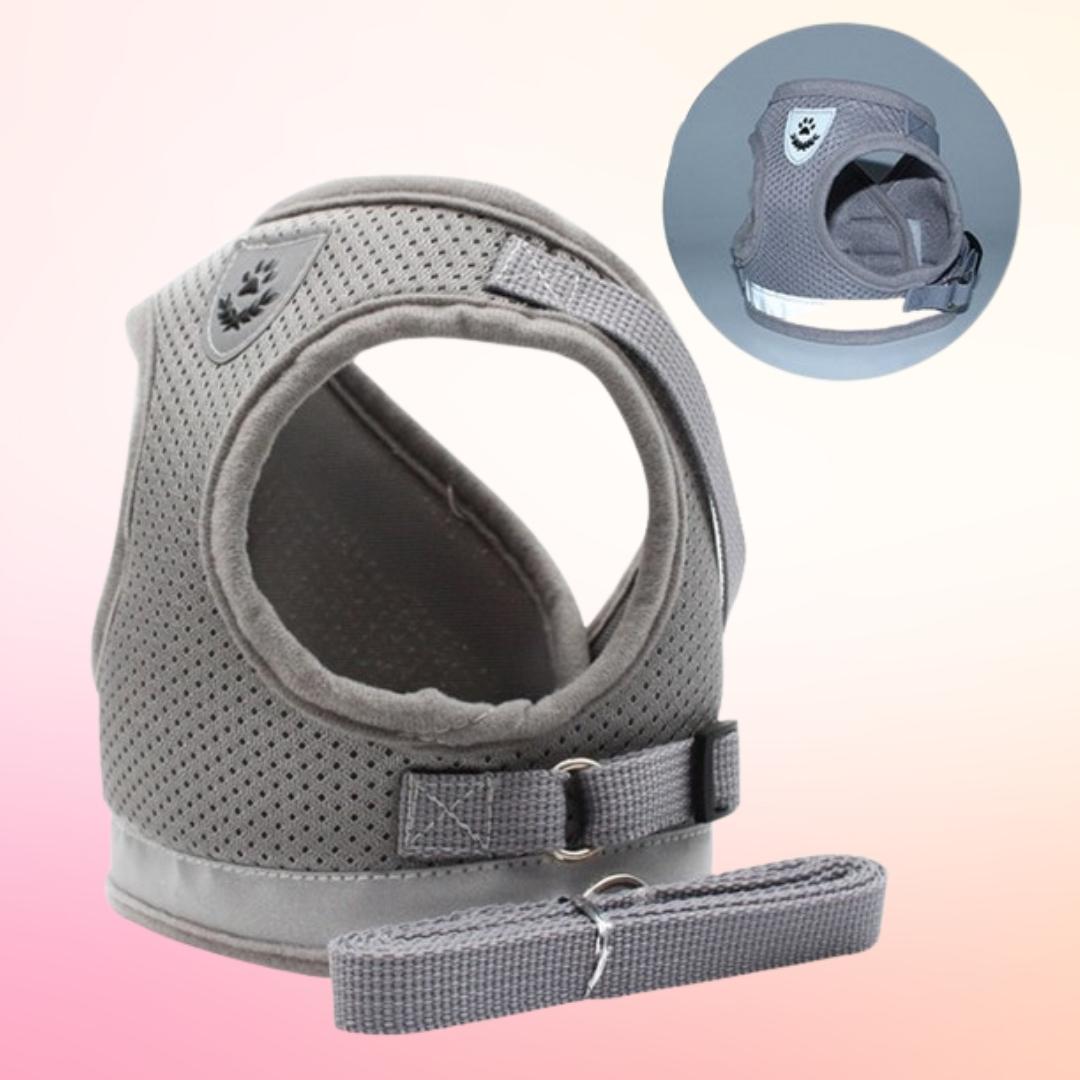 Reflective Cat Safety Harness + Leash Set Farm City Pets