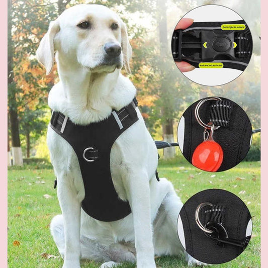 Durable dog harness with padded handle and D-ring leash attachment