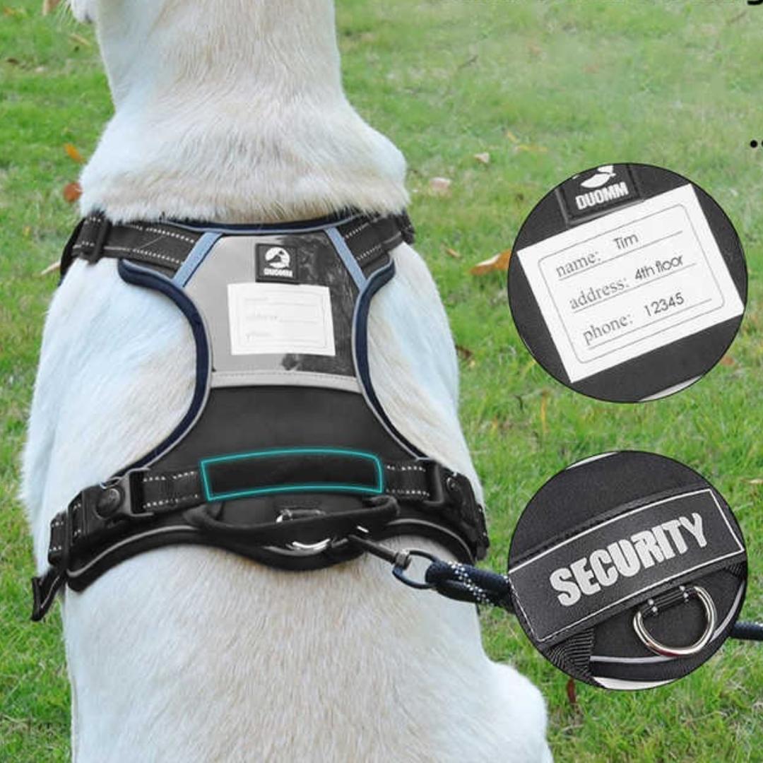 Adjustable large dog harness in black custom name