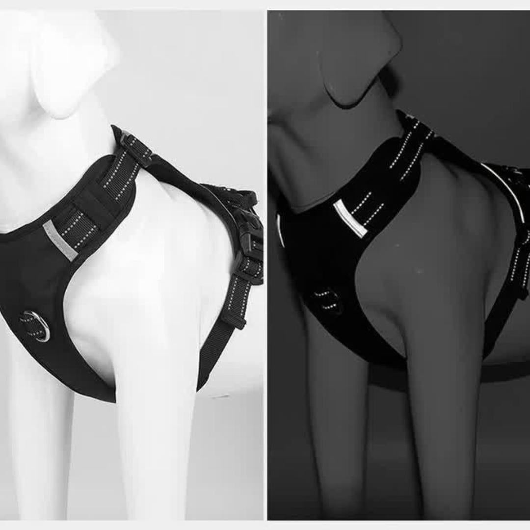 Reflective dog harness shown at night